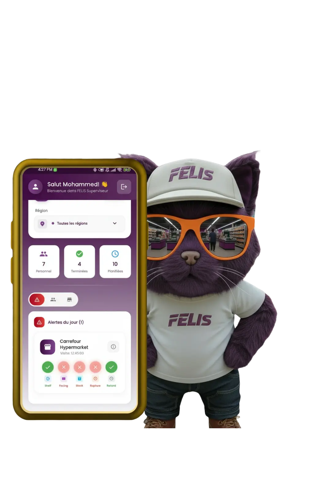 Dashboard Felis Retail Execution